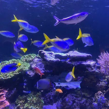 Mobil-home Vue Sur Lägenhet *